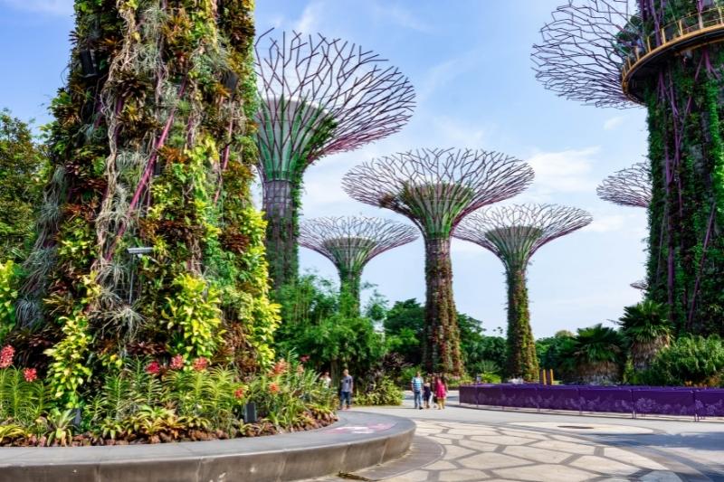 Garden by The Bay Singapore