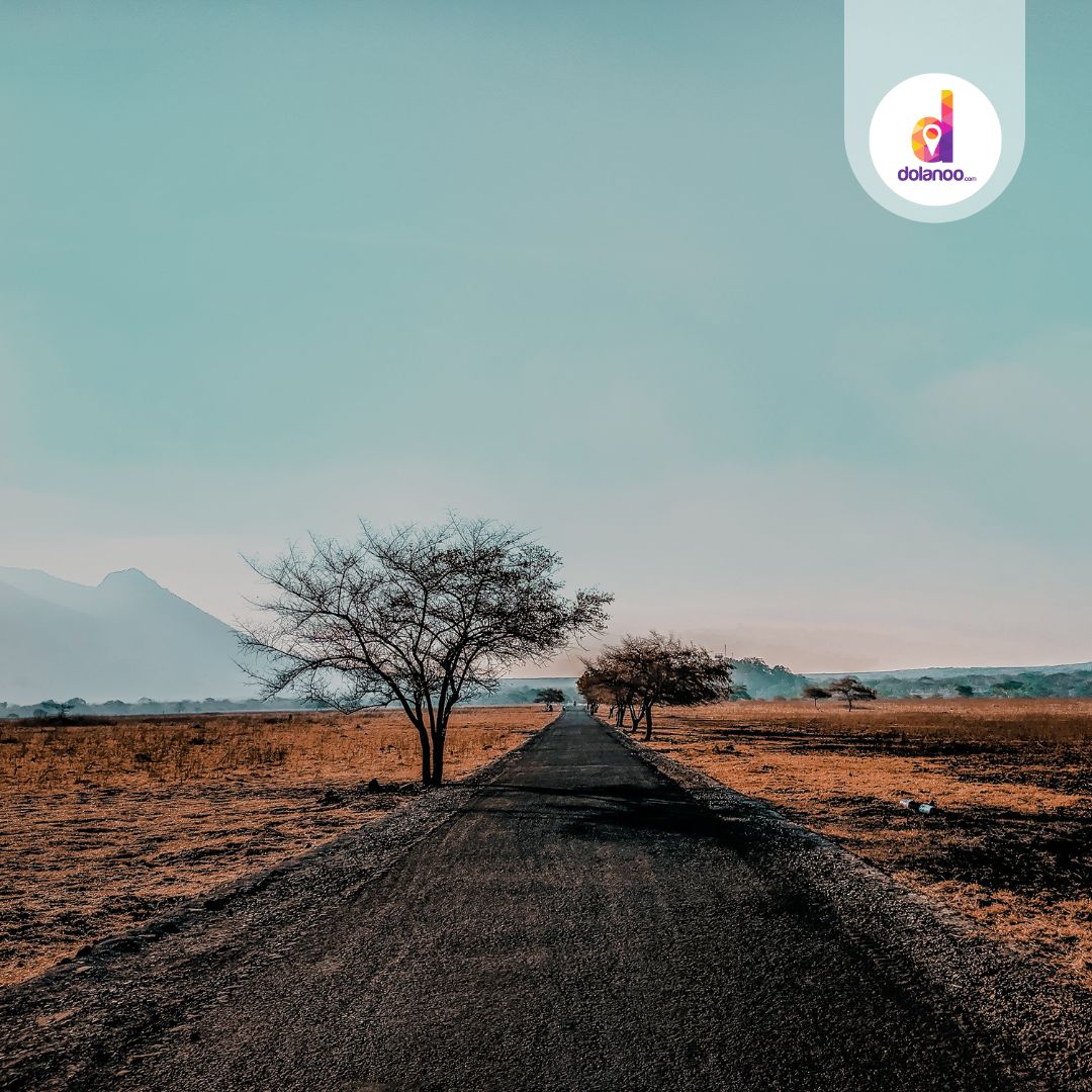 Savana Bekol Baluran, Nikmati Pesona Afrika di Tanah Jawa