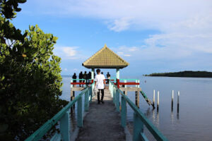 mangrove pantai bama by skinny