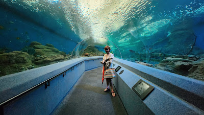 Underwater World Pattaya