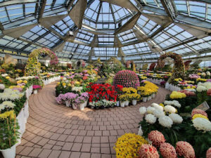 Garden of Morning Calm