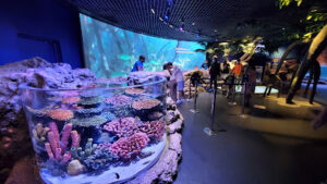 SEA LIFE Bangkok Ocean World
