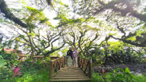 De Djawatan Forest by susanto