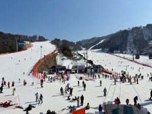 Vivaldi Park Ski World