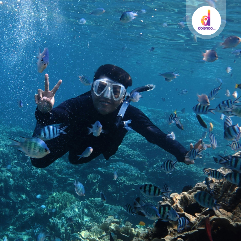 10 Tips Snorkeling di Karimunjawa Meski Tak Bisa Berenang