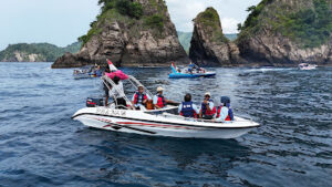 Pulau Wayang